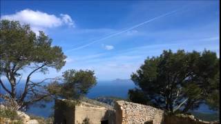 PALOMA SAN BASILIO- DOS CRUCES