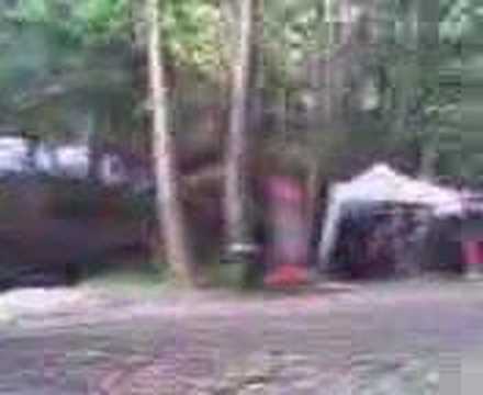 Shiva moon celebration 2