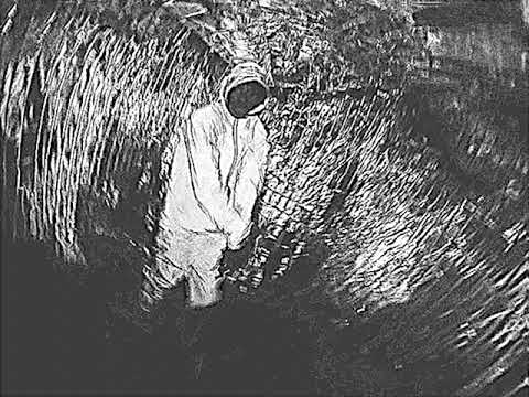 D Wills - Head Go Arf