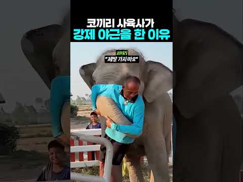 오늘자 사육사 강제 야근(?) 확정인 이유
