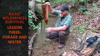 BASIC WILDERNESS SURVIVAL LESSON THREE: FORAGE AND WATER