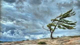 Download lagu Wind sound effects - efek suara angin mp3 Download lagu Wind sound effects - efek suara angin mp3