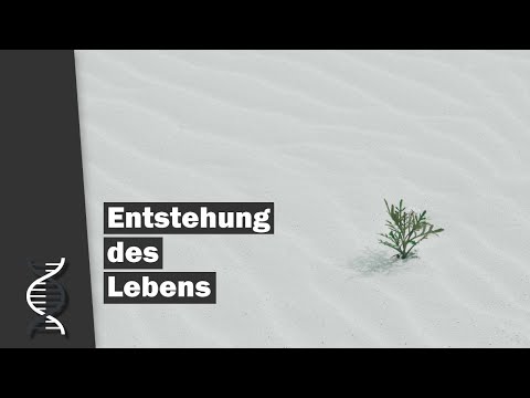 Entstehung des Lebens - Teil 1: Was wissen wir heute? | Dr. Boris Schmidtgall