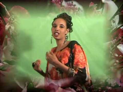 sagal arts heestii  intey i dhaliilayaan