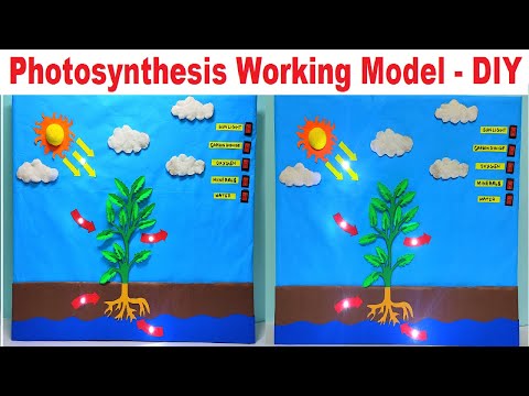 brain working model 3d science project for exhibition in simple and easy diy parts craftpiller