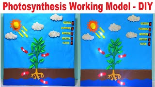photosynthesis working model science project for exhibition with led lights - diy