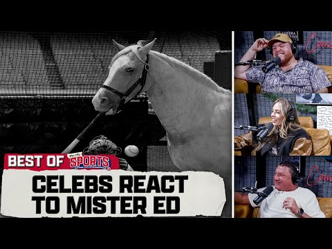 35 Minutes Of Celebrities Reacting To A Horse Playing Baseball