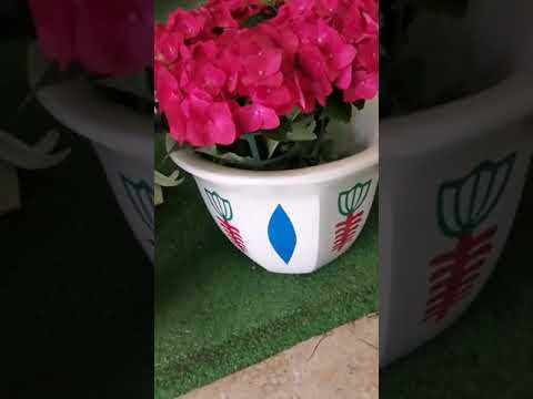 صباحكم فيروزي #فيروز #ازهار_الهديل #لبنان #Hadeel_Flowers