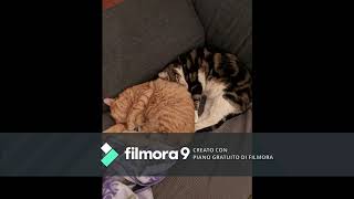 no one&#39;s leaving - Jane&#39;s addiction