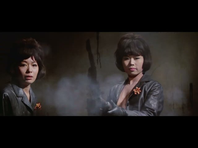 Radiance Blu-ray Trailer [Subtitled]