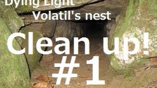 ﾀﾞｲｲﾝｸﾞﾗｲﾄ!　ボラタイルの巣めぐり #1　vamp-hiro