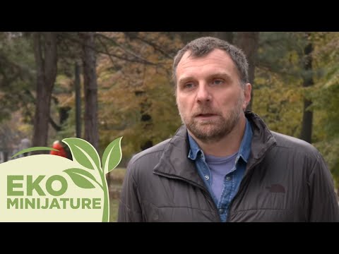 Eko minijature: Srećna planeta / Orao krstaš