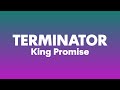 King Promise - Terminator (Lyrics)| I cos who're u to judge me, i be like terminator, i dey deliver