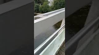 d'un pont à l'autre