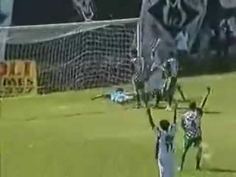 Mixto e Palmeiras do Porto