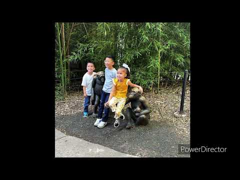 Meskin Scooby “May 26th”