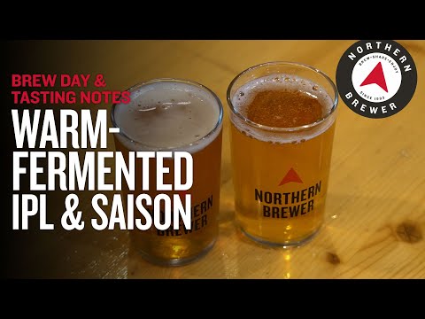 Pushing the Limit: Warm-Fermented IPL & Saison Homebrews