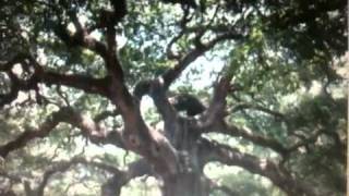 What's the life of a man