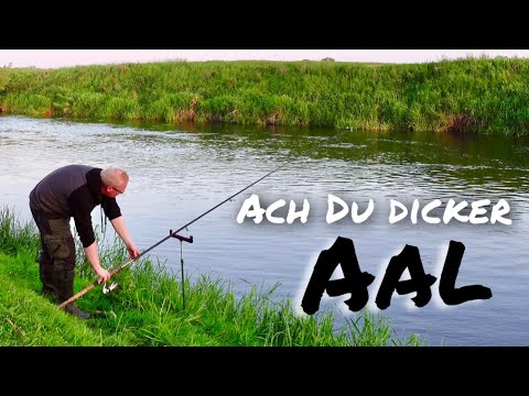 Aalangeln. Köderfisch vs Tauwurm. Dieser Fisch war so massiv😱