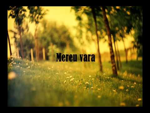 FreeJay & Hertz - Mereu vara