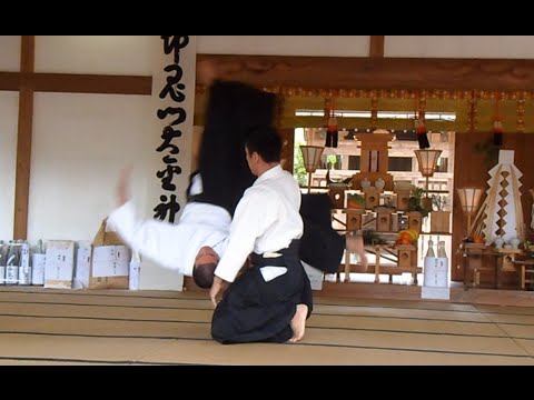 Aikido - Ueshiba Mitsuteru Waka Sensei 2015