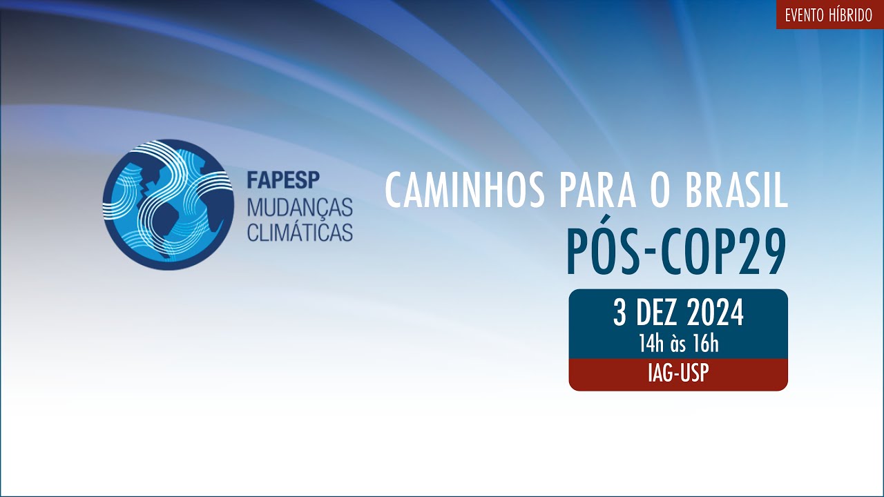 CAMINHOS PARA O BRASIL PÓS-COP29