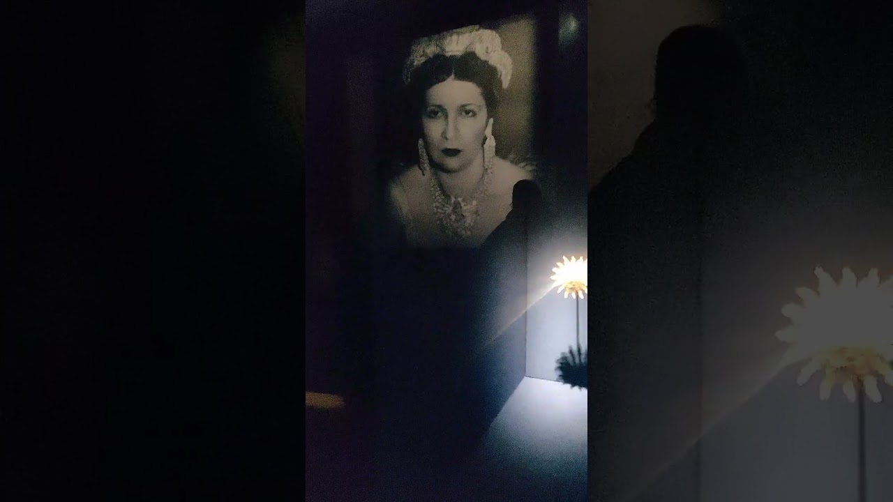 Королевские сокровища на Королевской улице