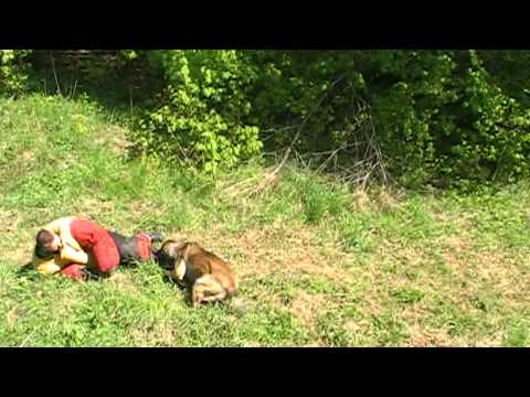 Woodoo Wirti Malidaj  MP Liberec  2011mpg