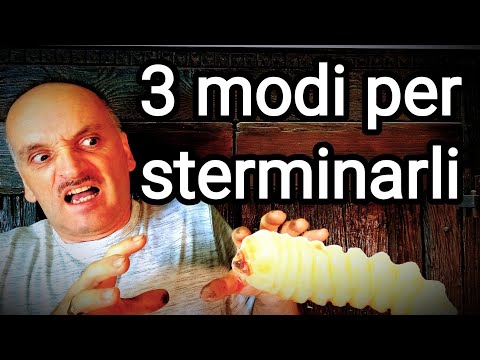 I tarli: 3 modi per liberarsene. Alternativi, innovativi, ecologici ed economici