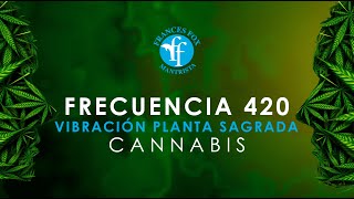 CANNABIS PM: 420 FREQUENCY: THE VIBRATION OF A SACRED PLANT