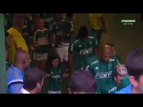 Palmeiras 3 x 1 Santo André (melhores momentos )