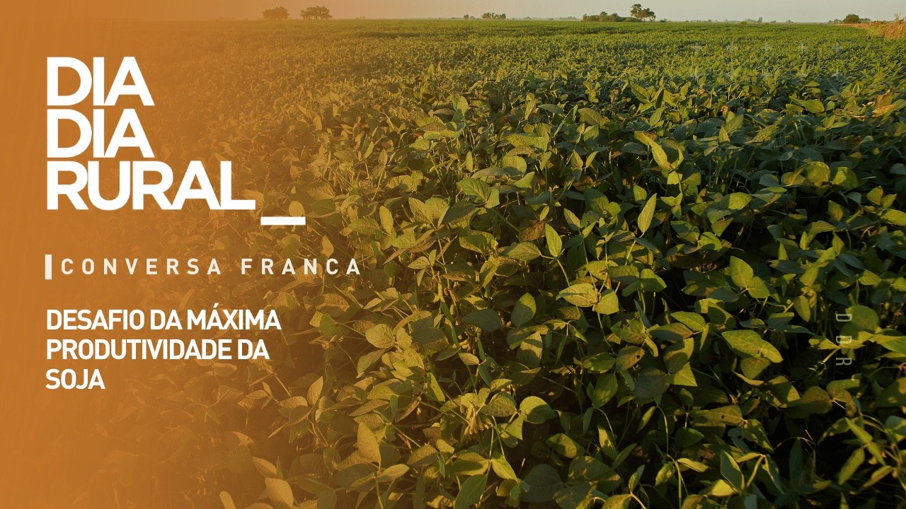 Desafio da Máxima Produtividade da Soja: campeão da região Norte explica manejo e cultivo