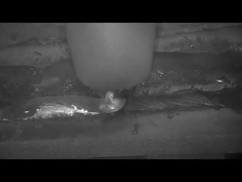 Robotic Pulsed GMAW with the MeltView® TD25