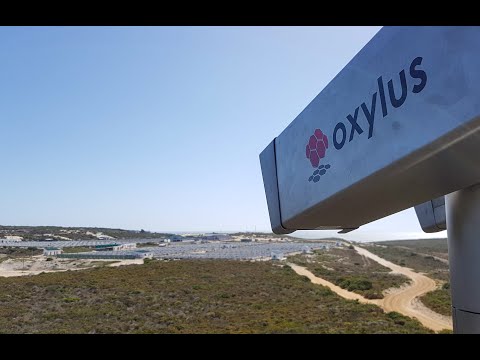 Protoclea  Oxylus - Wide area thermal scanning system