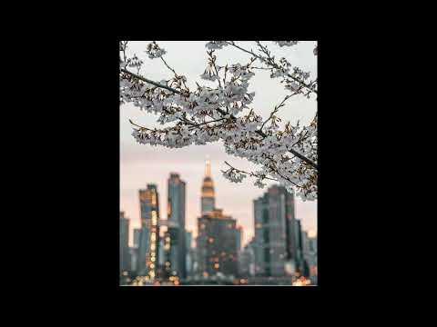 (FREE) Zarastruta X Jean Tassy X Yago Oproprio Type Beat - "Deja vu"