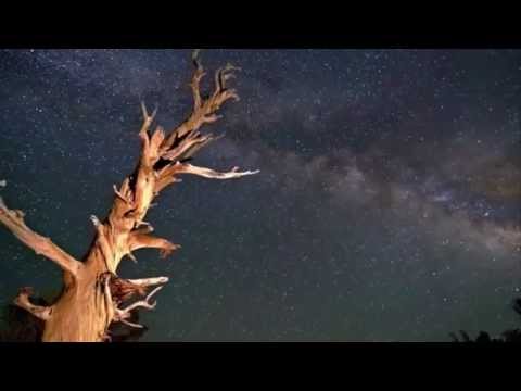 Relaxing music - Relaxing sleeping sounds Video