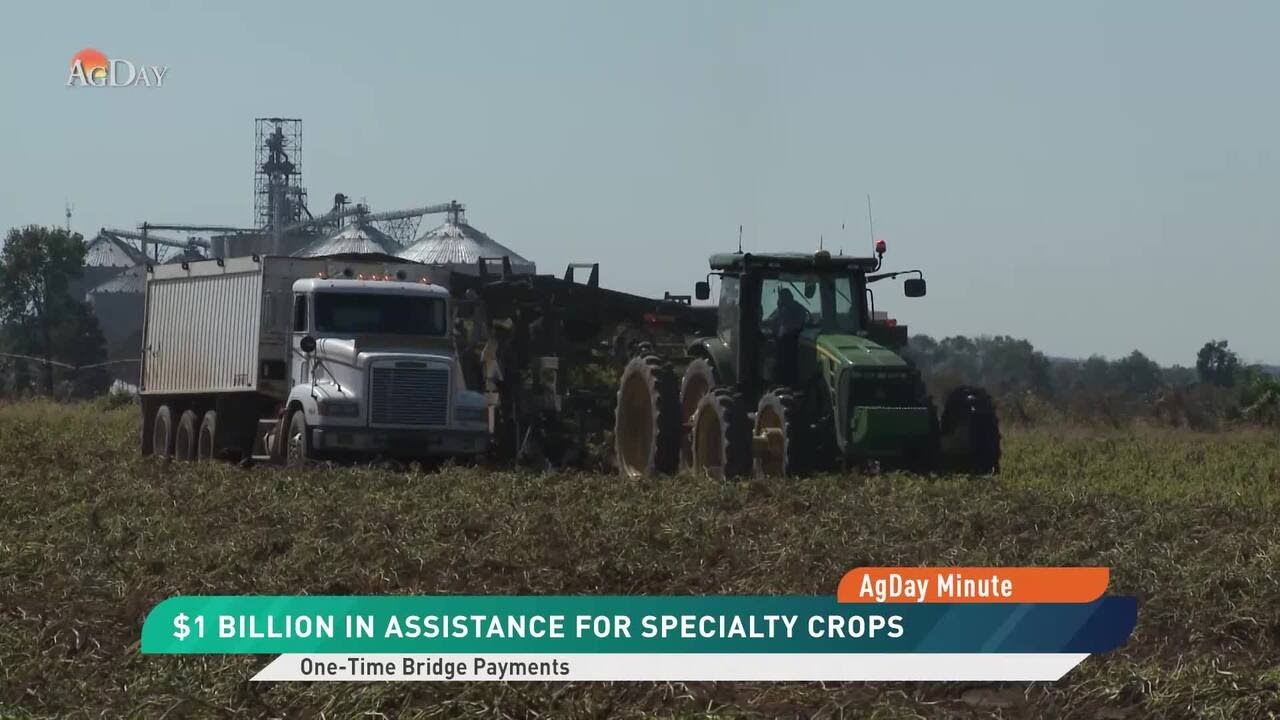 AgDay Minute 02/17/26