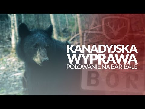 Zaproszenie na polowanie w Kanadzie!