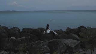 Music video thumbnail preview for The Weather Station - Heart (Official Visualizer) by The Weather Station