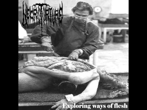 Necrotorture - Exploring ways of flesh (FULL EP 2001)