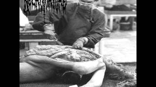 Necrotorture - Exploring ways of flesh (FULL EP 2001)