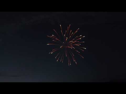 15  4'' Silver strobe willow