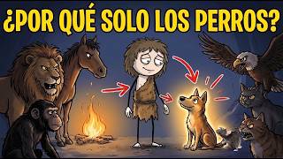 ¿Por Qué Los Humanos De La Antigüedad Confiaban Más En Los Perros Que En Cualquier Otro Animal?