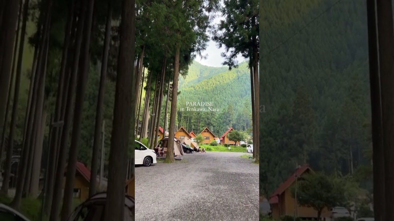 YouTube Short thumbnail