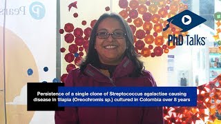 Persistence of a single clone of Streptococcus agalactiae causing disease in tilapia (Oreochromis sp.) cultured in Colombia over 8 years