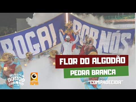 Flor de Algodão - Pedra Branca | 26º Festejo Ceará Junino