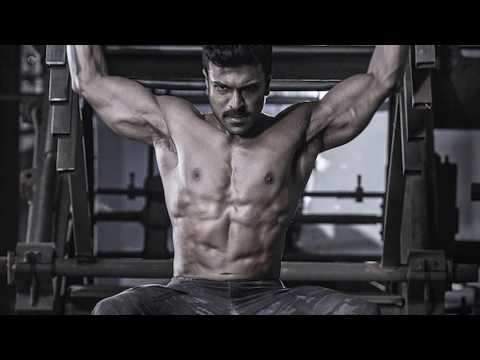 Dhruva - Manishi Musugulo Mrugam Neney Ra Telugu Song | Ram Charan , Rakul Preet Singh