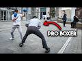 Why untrained people think they can fight DEFAULT Thumbnail