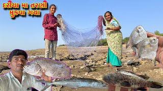 Download lagu ઘણા સમય પછી મસબા મા ફરેડ જોવા મળી 🦈 Sapri fishing 🎣 dariyai khedut mp3