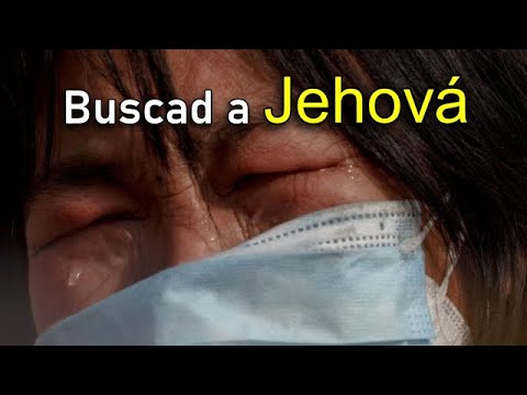 Sofonías 2: 3 Buscad a Jehová todos los humildes de la tierra